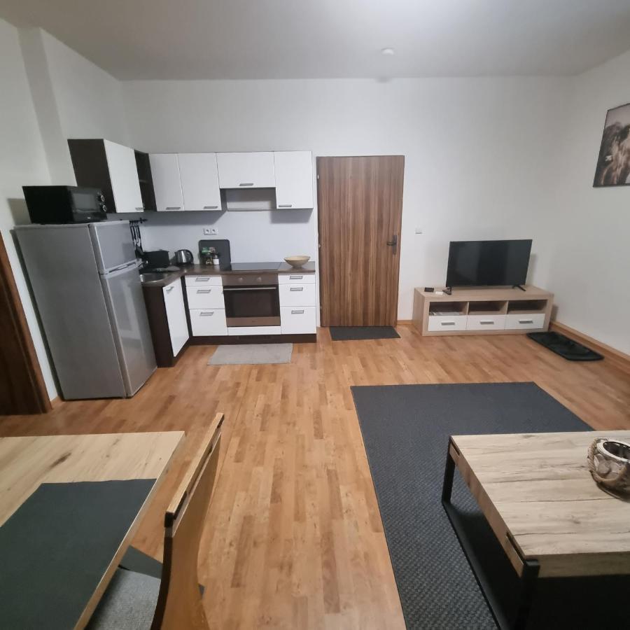 Cerny Tulipan - Apartman 3 Lägenhet Plzeň Exteriör bild